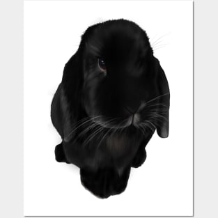 Oreo - Bunny Posters and Art